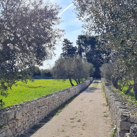 Morea-relax In Piscina * Putignano