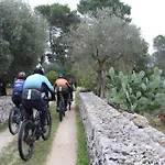 Morea-relax In Piscina *