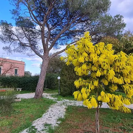 Morea-relax In Piscina