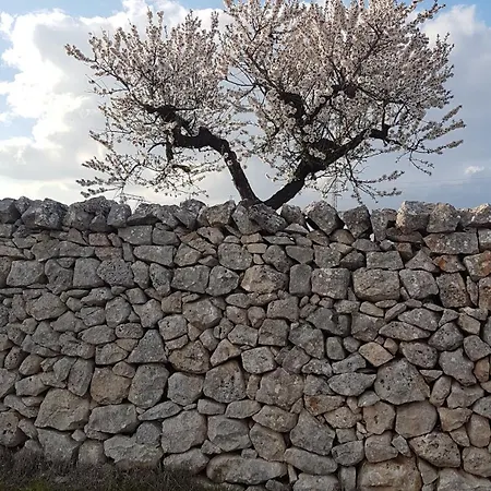 Villa Morea -2 Case Indipendenti Con Piscina