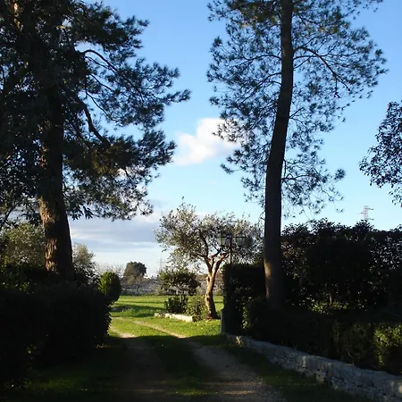 Villa Morea -2 Case Indipendenti Con Piscina Tatil Evi