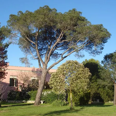 בית נופש Morea-relax In Piscina