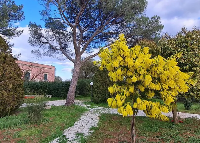 Morea-relax In Piscina