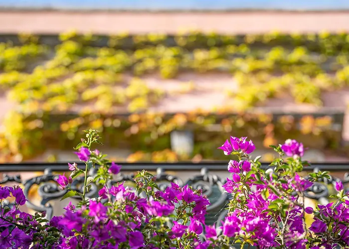 Morea-relax In Piscina *